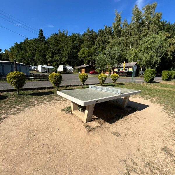 Table for tennis table